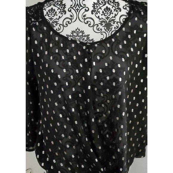 Beautiful black sheer, long-sleeved blouse - Picture 1 of 4